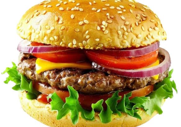 erasebg-transformed-8